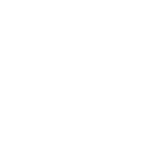 FSO Maze logomark in white